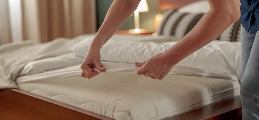 Bed Bug Extermination Services in Ypsilanti
