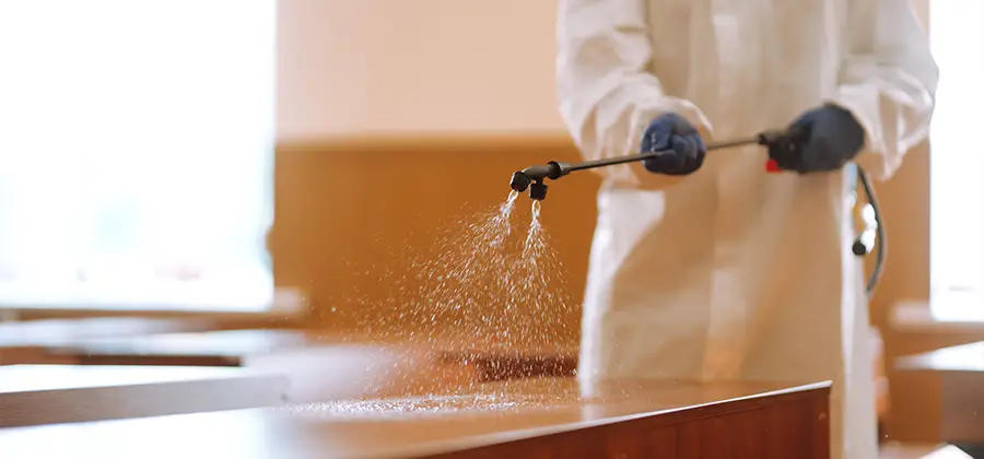 Residential Bed Bug Treatment Option in Ypsilanti