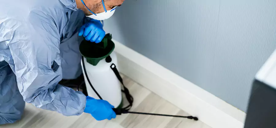 Fumigate Apartment Roaches in Ypsilanti