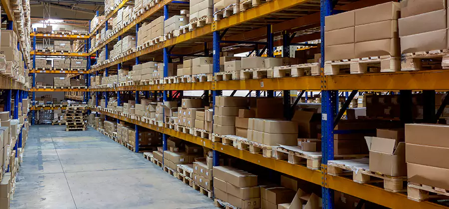 Warehouse Pest Control in Ypsilanti