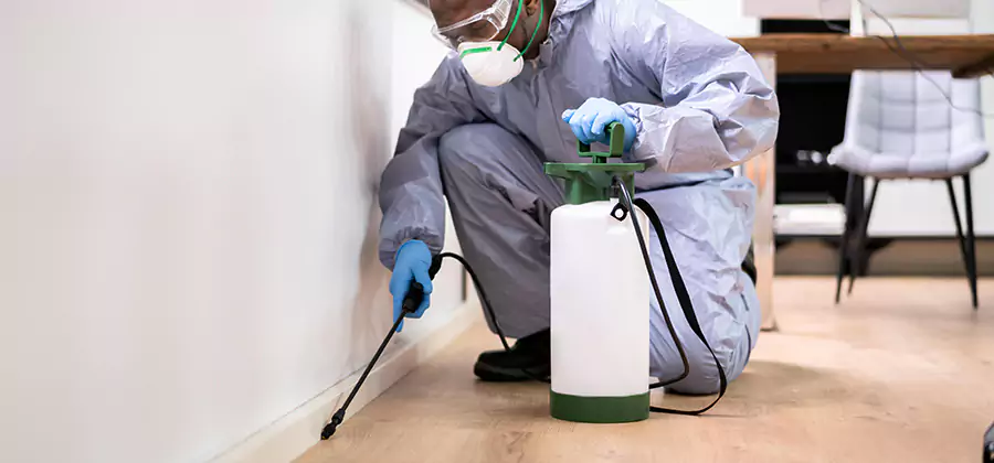 No Tent Termite Extermination With Electric Tool in Ypsilanti