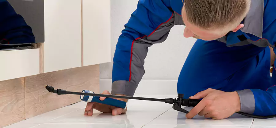 Moisture Treatment For Termite Control Service in Ypsilanti