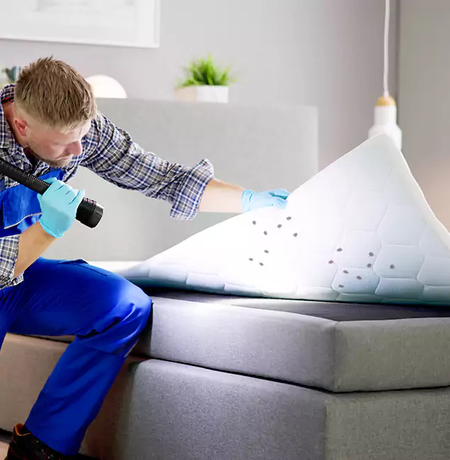 Why Choose Ypsilanti Pest Control Pro in Ypsilanti, MI?