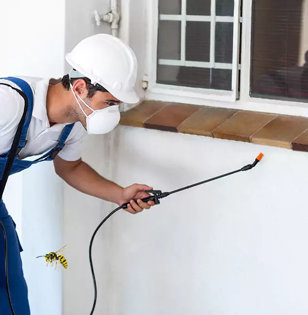 Why Ypsilanti Property Owners Choose Ypsilanti Pest Control Pro for Bee Nest Removal?