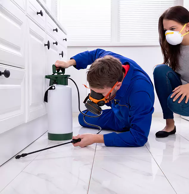 Why Choose Ypsilanti Pest Control Pro in Ypsilanti, MI?
