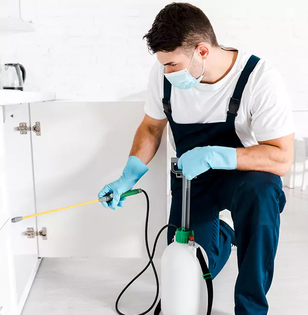 Why Choose Ypsilanti Pest Control Pro for Emergency Pest Control in Ypsilanti?
