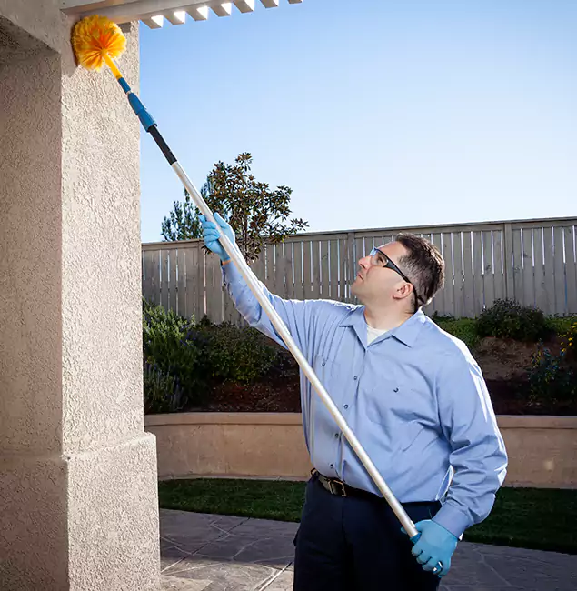 Why Choose Ypsilanti Pest Control Pro for Foundation Termite Treatment in Ypsilanti, MI?