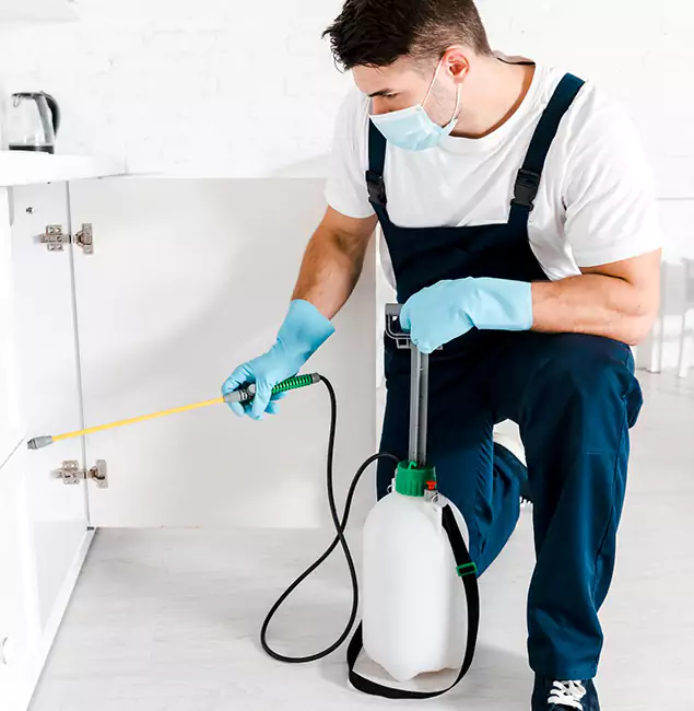 Why Ypsilanti, MI Homeowners Trust Us for German Roach Control?