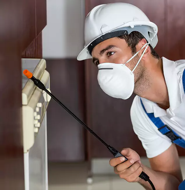 Why Ypsilanti Homeowners Rely on Ypsilanti Pest Control Pro for Tick Treatment?