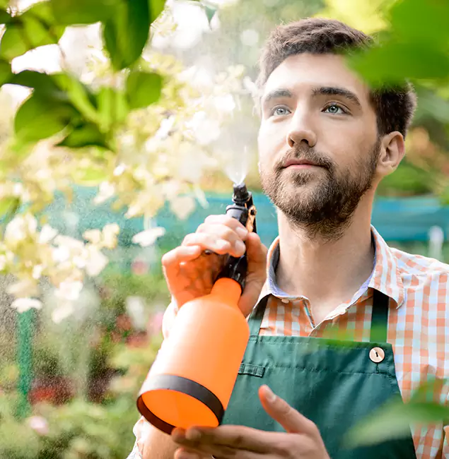 Why Ypsilanti Homeowners Call Ypsilanti Pest Control Pro for Mosquitoes in House?