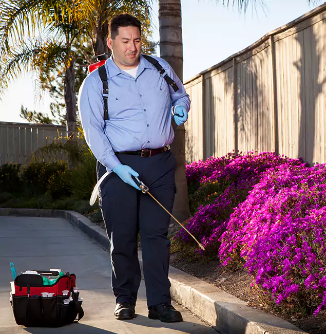 Why Choose Ypsilanti Pest Control Pro in Ypsilanti, MI?