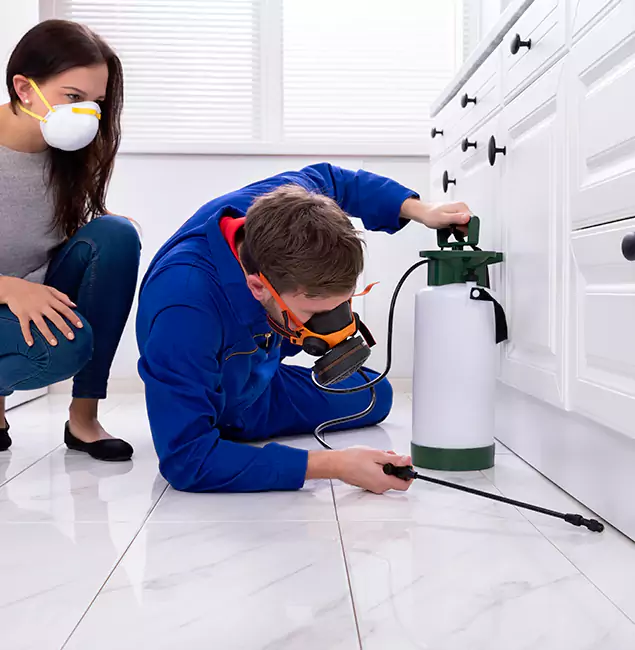 Why Choose Ypsilanti Pest Control Pro in Ypsilanti, MI?