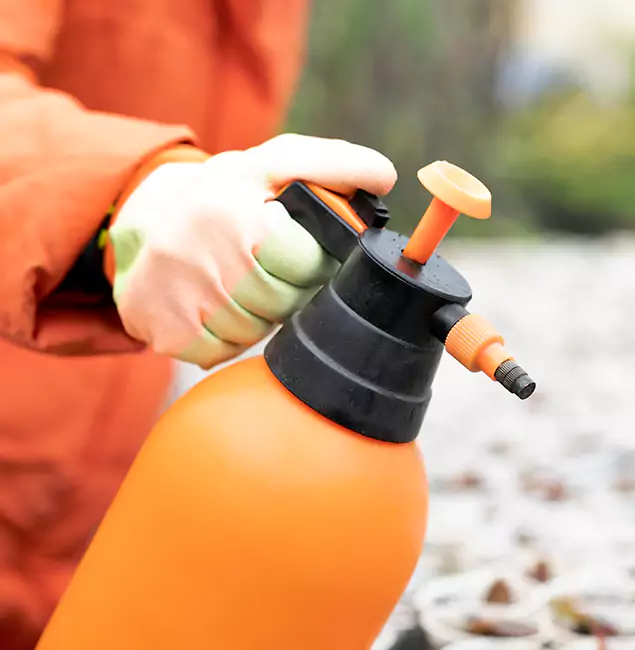 Why Choose Ypsilanti Pest Control Pro for Orange Termite Treatment in Ypsilanti, MI?
