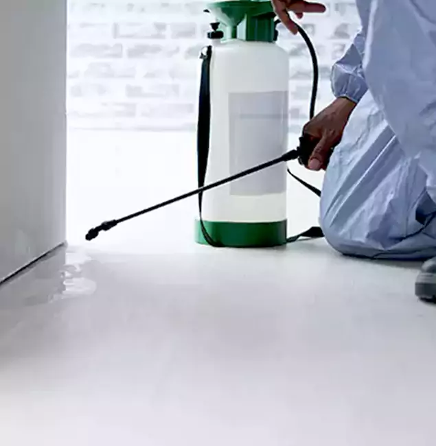 Why Choose Ypsilanti Pest Control Pro for Rat Exterminator in Ypsilanti, MI?