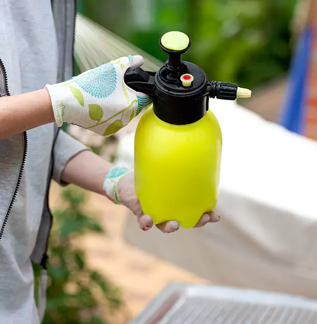 Why Choose Us: Ypsilanti Pest Control Pro Termite Spraying Experts in Ypsilanti, MI?
