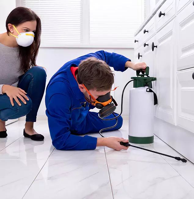 Why Choose Wood Termite Treatment by Ypsilanti Pest Control Pro in Ypsilanti, MI?
