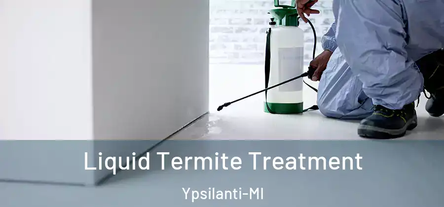  Liquid Termite Treatment Ypsilanti-MI