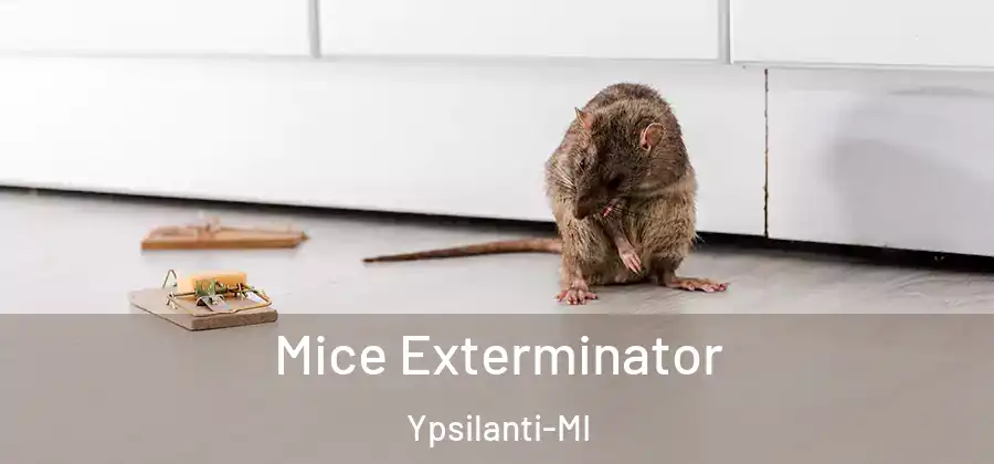  Mice Exterminator Ypsilanti-MI