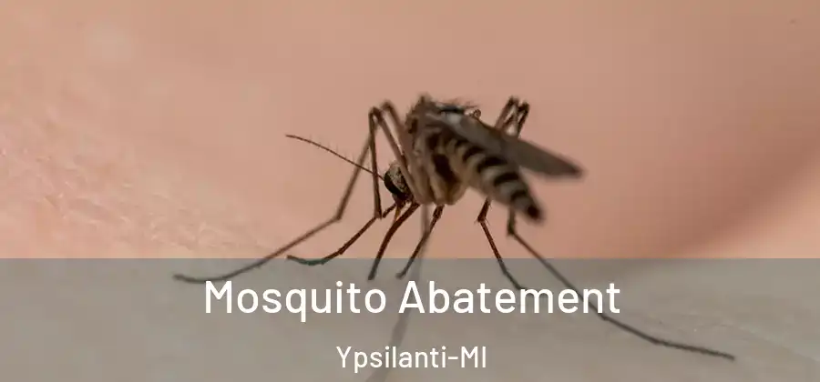  Mosquito Abatement Ypsilanti-MI