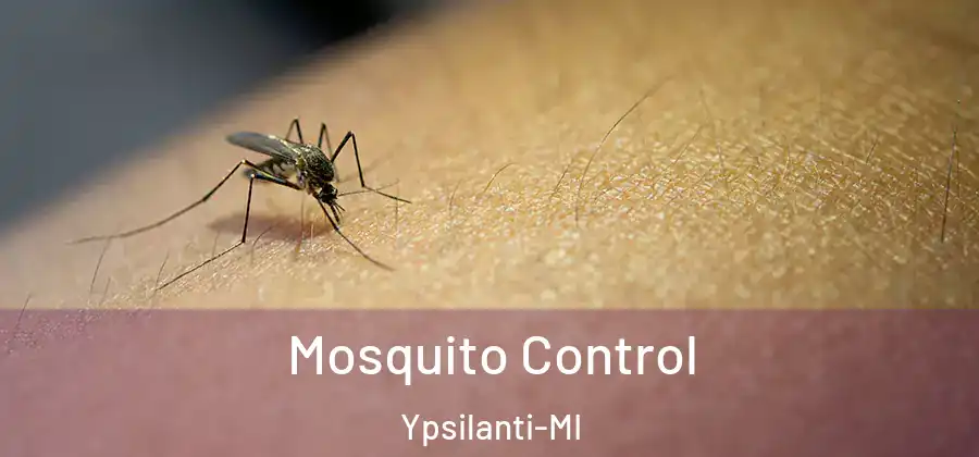  Mosquito Control Ypsilanti-MI