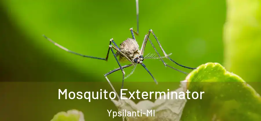  Mosquito Exterminator Ypsilanti-MI
