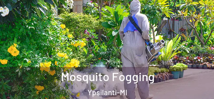  Mosquito Fogging Ypsilanti-MI