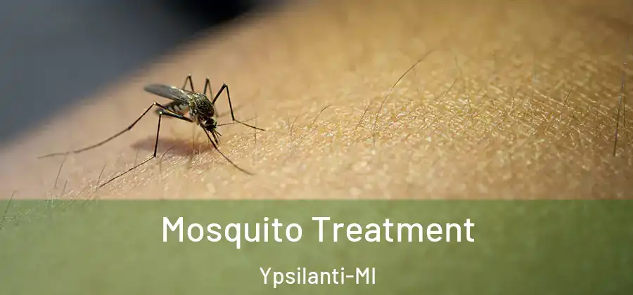  Mosquito Treatment Ypsilanti-MI