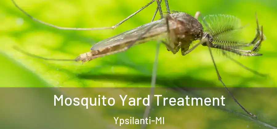  Mosquito Yard Treatment Ypsilanti-MI