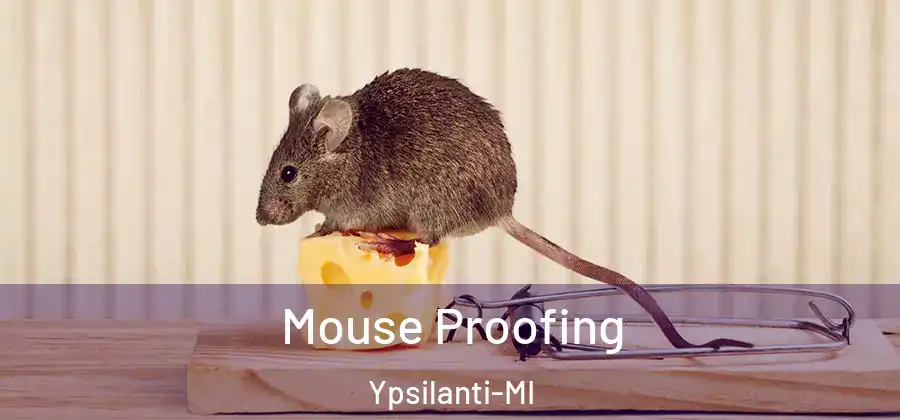  Mouse Proofing Ypsilanti-MI