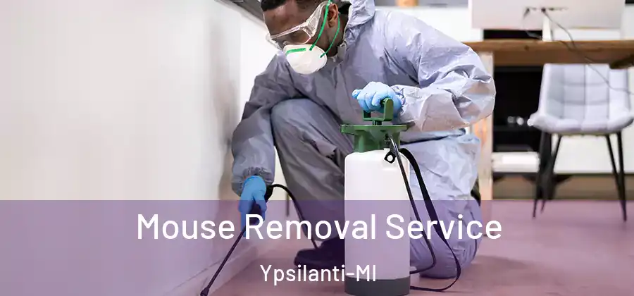  Mouse Removal Service Ypsilanti-MI