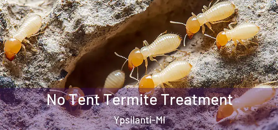  No Tent Termite Treatment Ypsilanti-MI