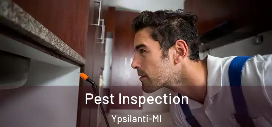  Pest Inspection Ypsilanti-MI