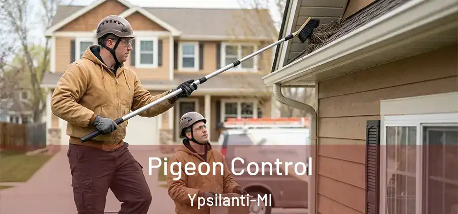  Pigeon Control Ypsilanti-MI