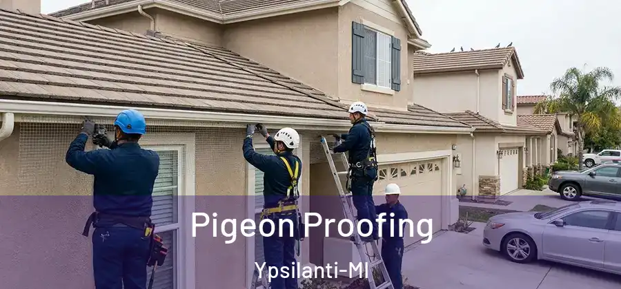  Pigeon Proofing Ypsilanti-MI