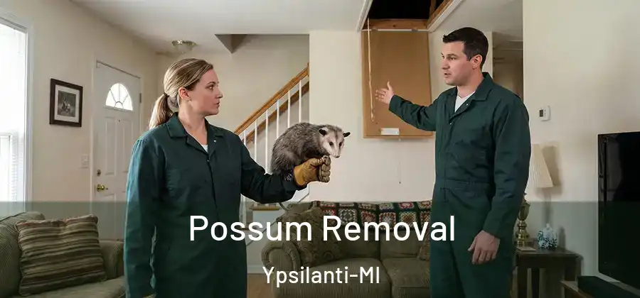 Possum Removal Ypsilanti-MI