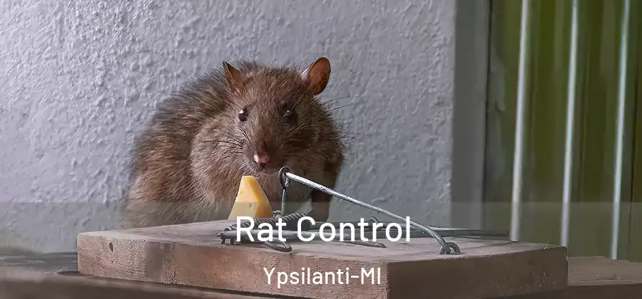  Rat Control Ypsilanti-MI