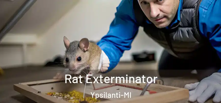  Rat Exterminator Ypsilanti-MI