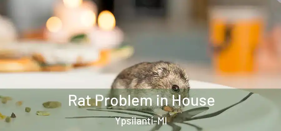  Rat Problem in House Ypsilanti-MI