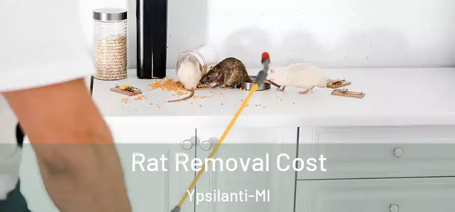  Rat Removal Cost Ypsilanti-MI