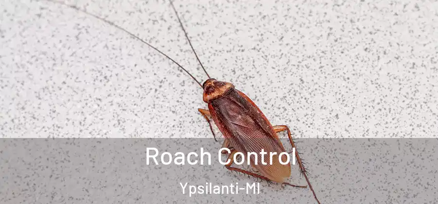  Roach Control Ypsilanti-MI
