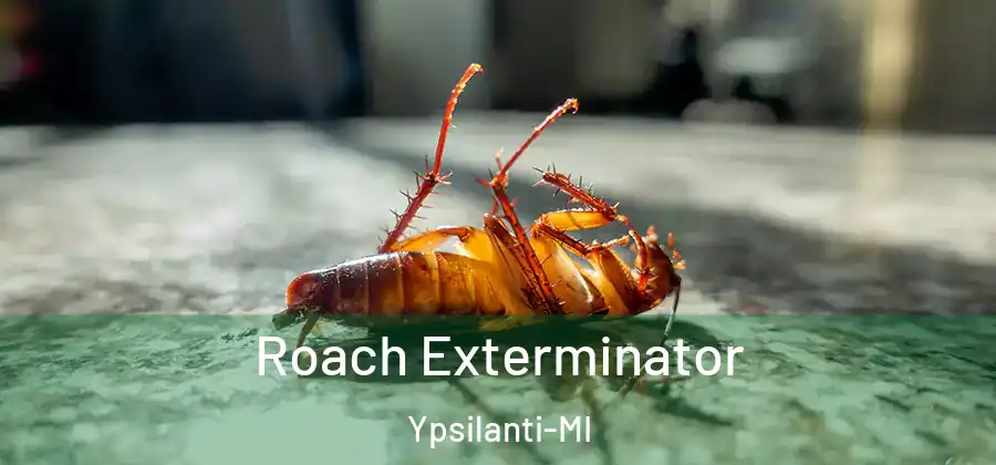  Roach Exterminator Ypsilanti-MI