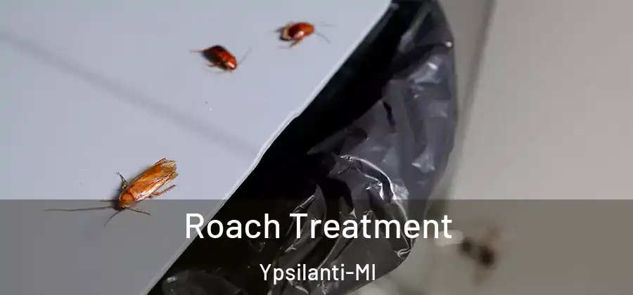  Roach Treatment Ypsilanti-MI