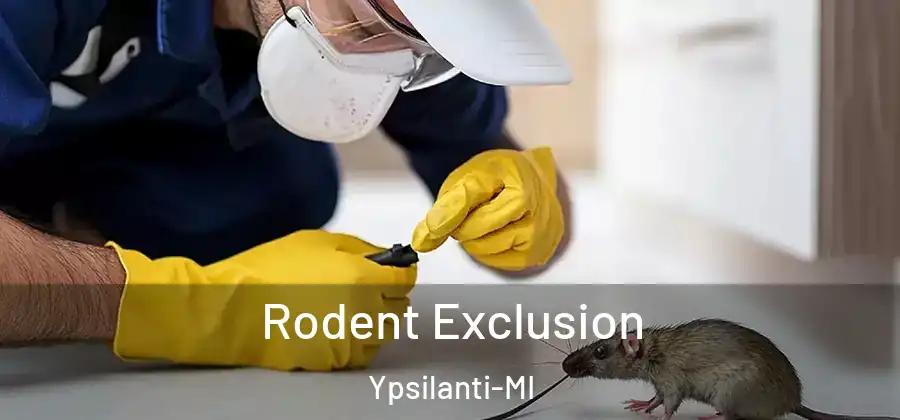  Rodent Exclusion Ypsilanti-MI