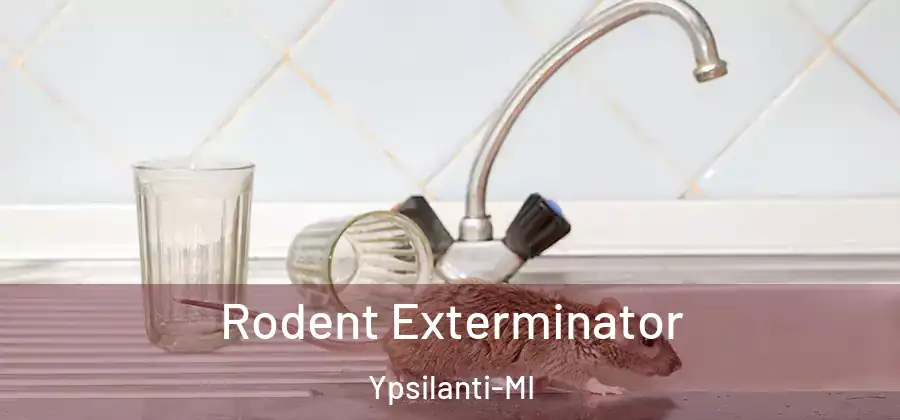  Rodent Exterminator Ypsilanti-MI