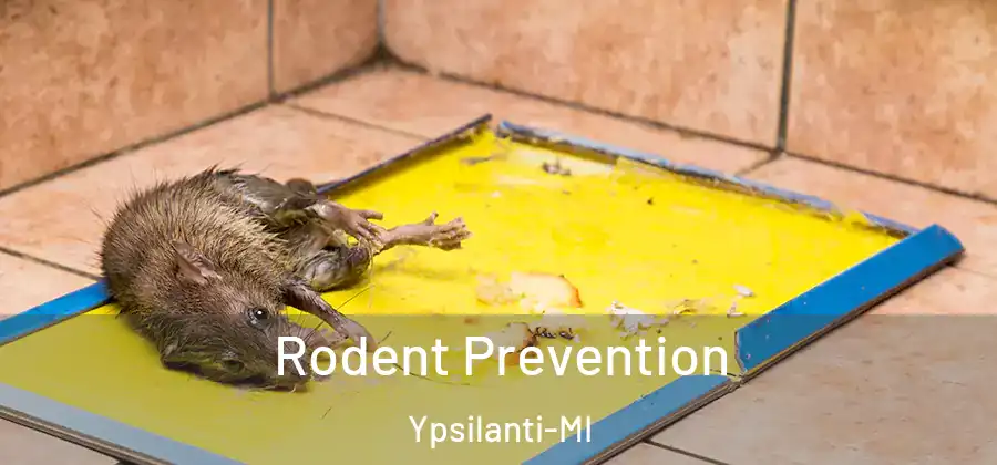  Rodent Prevention Ypsilanti-MI