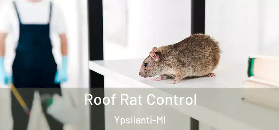  Roof Rat Control Ypsilanti-MI