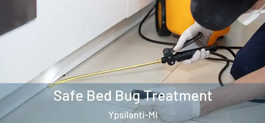  Safe Bed Bug Treatment Ypsilanti-MI