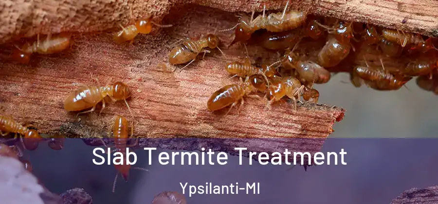  Slab Termite Treatment Ypsilanti-MI