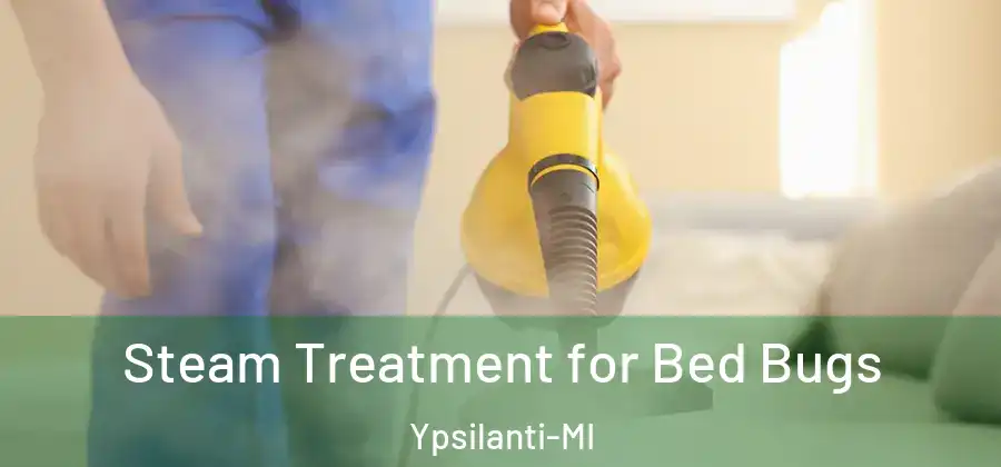  Steam Treatment for Bed Bugs Ypsilanti-MI