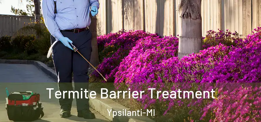  Termite Barrier Treatment Ypsilanti-MI